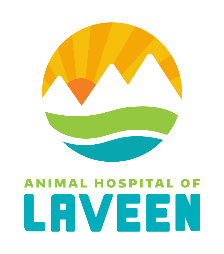 Animal Hospital of Laveen