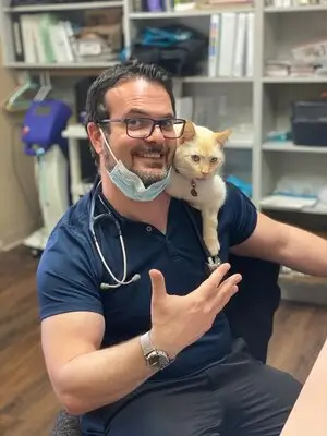 Vet Team